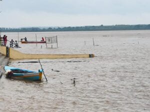 godavari in 2