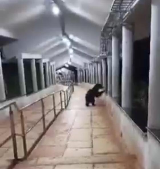 IMG 20230801 WA0014 1