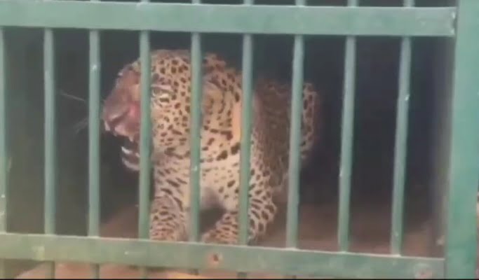 Screenshot 20230814 102558 Gallery