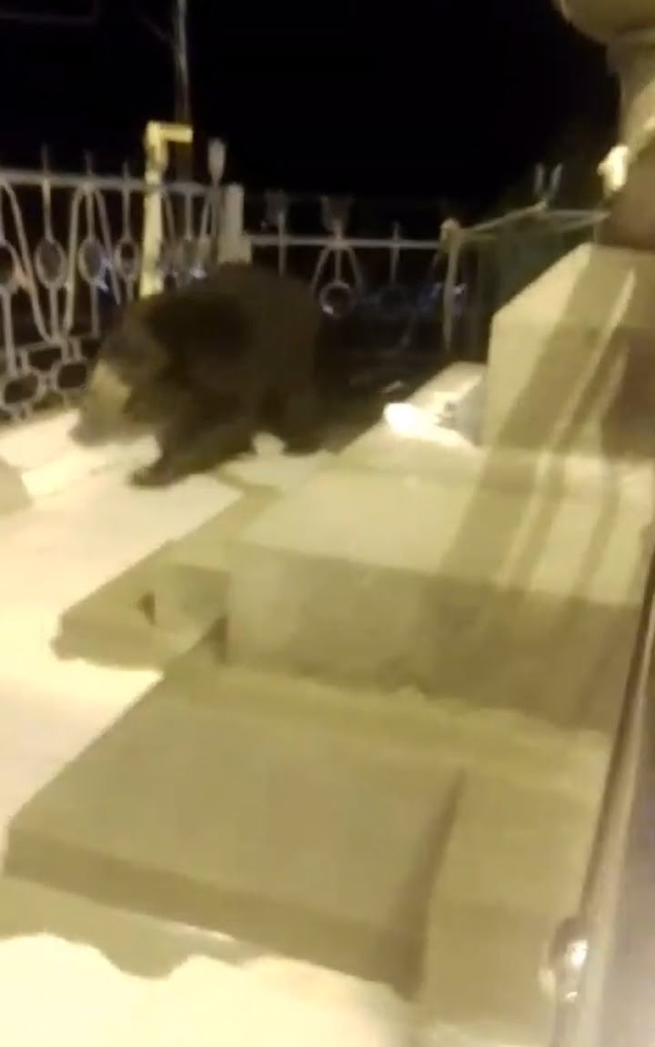 Screenshot 20230814 115456 WhatsApp