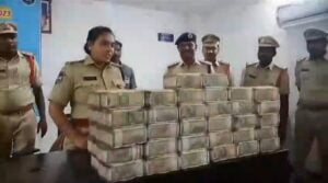 Screenshot 20231015 211154 Gallery