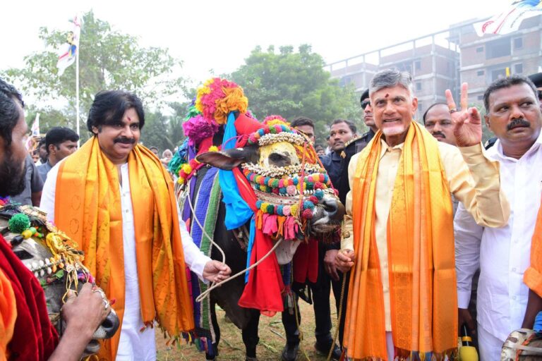 babu pwan bull