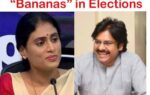 రాజకీయాల్లో”అరటి పండ్లు”…! banana c