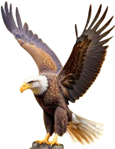 EAGLE  NEWS 