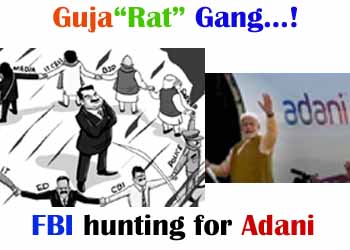 adani c
