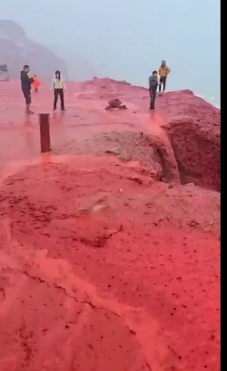 Screenshot 20250316 214354 WhatsApp